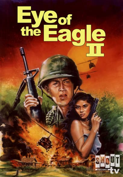 Eye of the Eagle II: Inside the Enemy