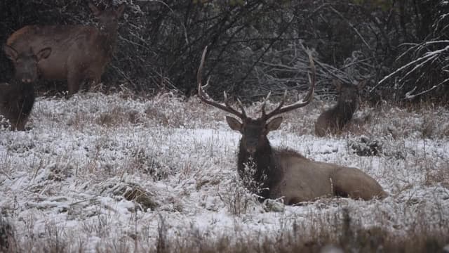 S01:E04 - Once-in-a-Lifetime Hunts With Jana Waller