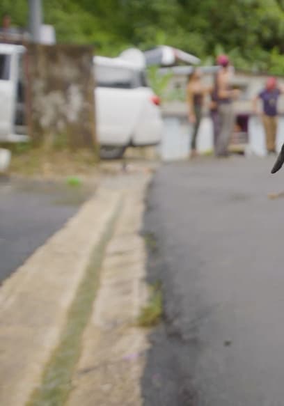 S01:E05 - Puerto Rico Rescue Pups poster