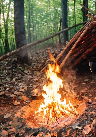 Póster de S01:E07 - Wilderness: Survival Stripped Bare