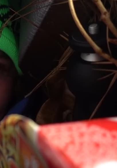 S05:E01 - Police Hide & Seek Challenge / Insane Life Hacks That Will Change You poster