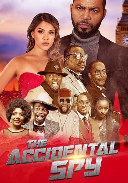 The Accidental Spy