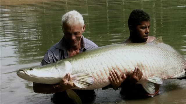 S03:E05 - Electric Executioner