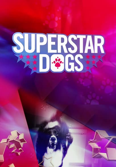 Superstar Dogs