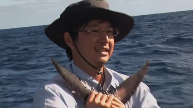 S02:E08 - The Hunt for Cow Tuna: Revillagigedo Islands