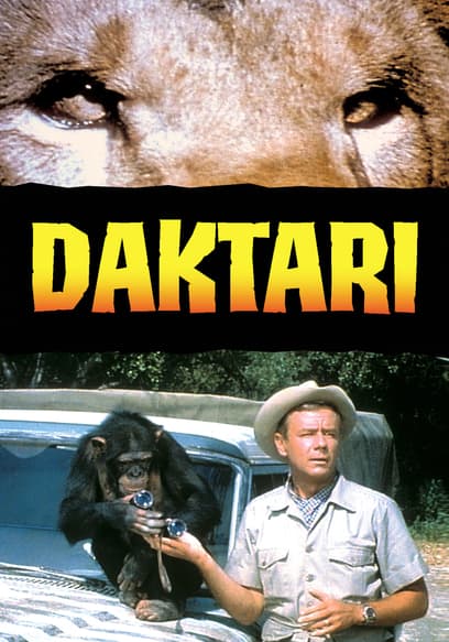 S01:E05 - Trail of the Cheetah