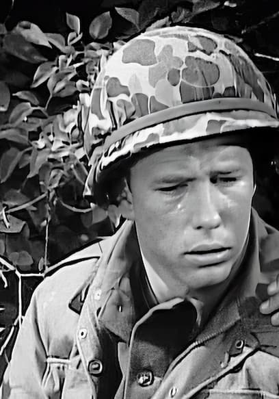 Watch The Big Attack: Combat Heroes of WWII S02:E08 - The Man Who Cried ...