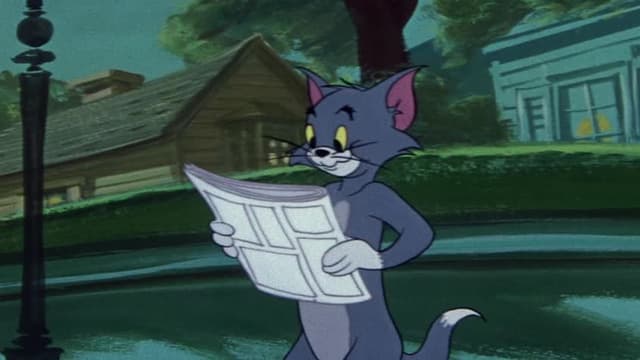 S09:E05 - Flirty Birdy / The Flying Cat / The Flying Sorceress