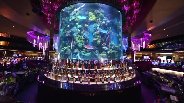 S07:E10 - Shark Buffet