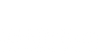 Horror Movie: A Low Budget Nightmare