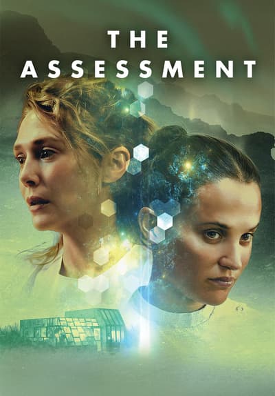 The Assessment poster