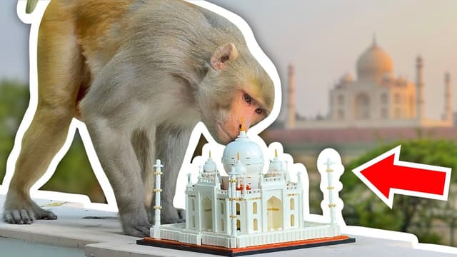 S01:E07 - Monkey vs. LEGO!