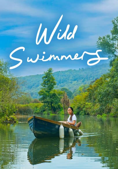 Wild Swimmers poster