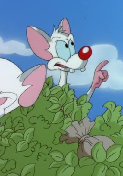 S03:E06 - All You Need Is Narf / Pinky's Plan poster