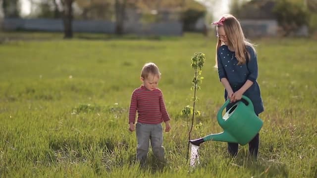 S01:E14 - Plant Power: What We Can Learn From Our Earth