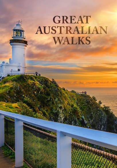 S01:E09 - Dorrigo National Park