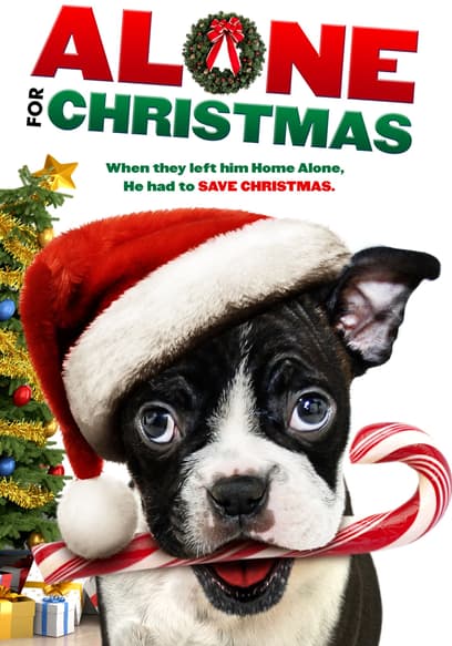 Alone for Christmas