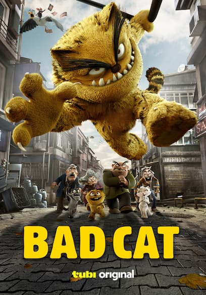 Bad Cat