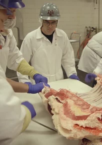 S01:E09 - Pickin' Beef poster