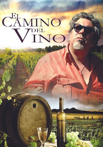 El Camino Del Vino