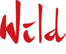 All the Wild Horses