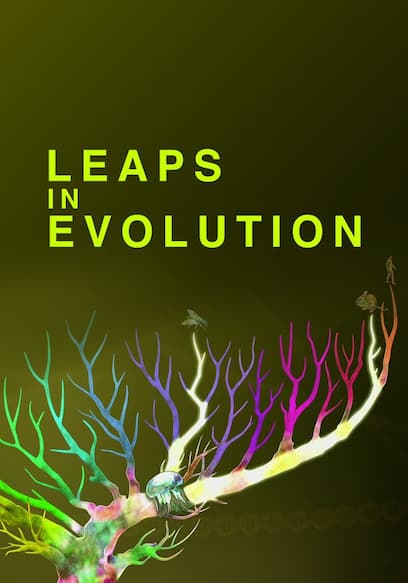 Leaps in Evolution poster