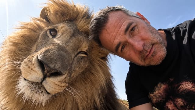 The Lion Whisperer
