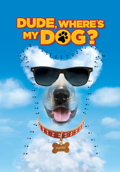 Dude, Where's My Dog?