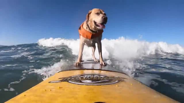 S03:E07 - Blame It on the Rai / Slip, Slip, Hooray!