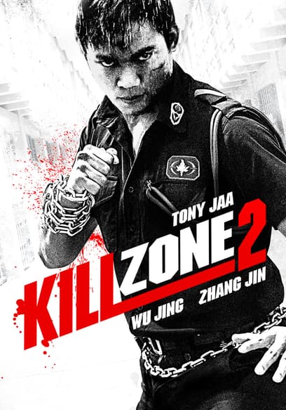 Kill Zone 2 (Spanish Dub) poster