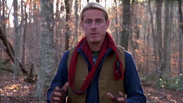 S01:E06 - Eat Bees to Survive