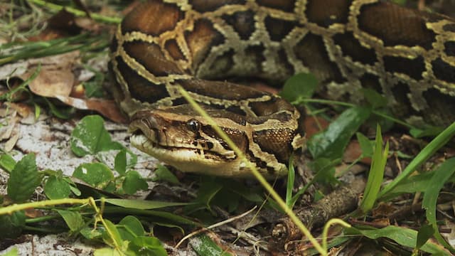 S02:E08 - All Hands on Deck