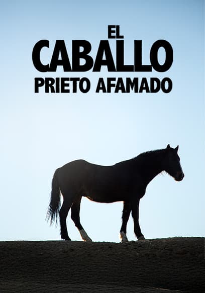 El Caballo Prieto Afamado