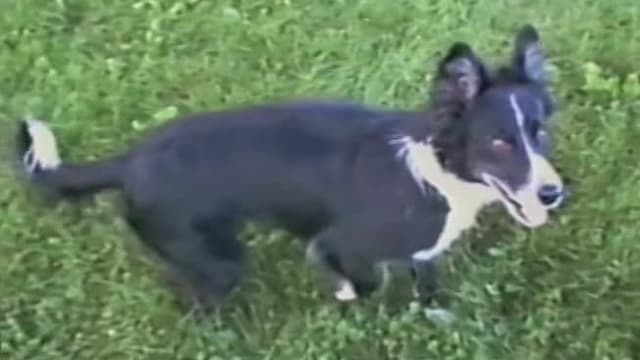 S01:E20 - Episode 20