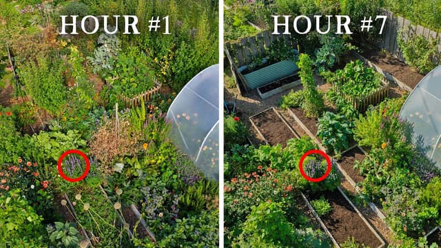 S01:E09 - Rescuing an Abandoned Kitchen Garden