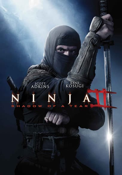 Ninja: Shadow of a Tear