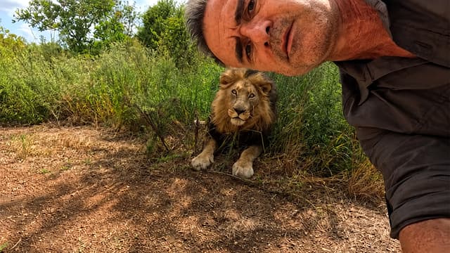 The Lion Whisperer