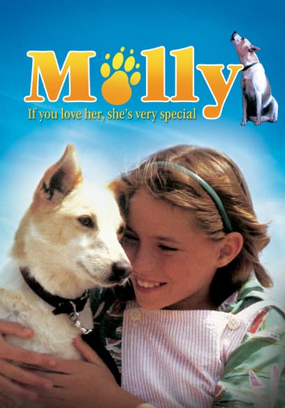 Molly poster