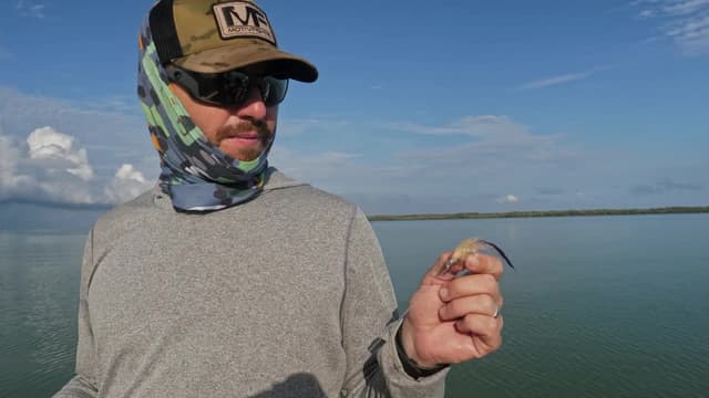 S01:E06 - Danger Down Under