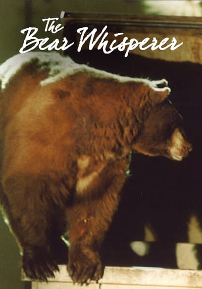 The Bear Whisperer