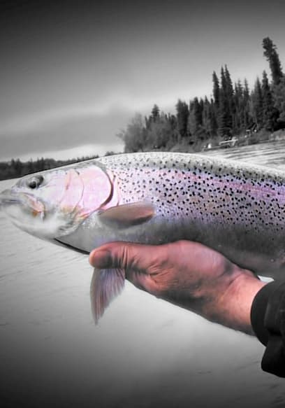 S02:E03 - PEI Bluefin (Pt. 1) & Alaskan King Salmon poster
