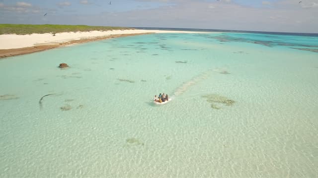 S01:E09 - Return to Cairns