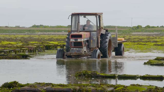 S01:E02 - Ireland (Pt. 2)