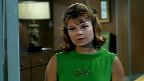 Watch Family Affair S01:E16 That Was the Dinner That Wasn't