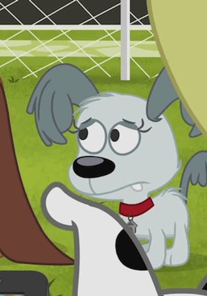 S02:E12 - The Accidental Pup Star poster