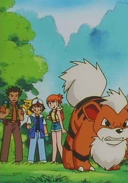 S01:E49 - The Case of the K-9 Caper poster