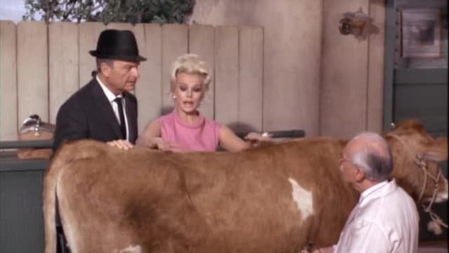 S02:E31 - Music to Milk By