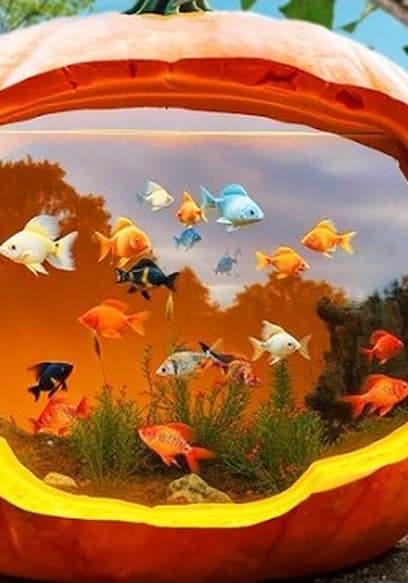 Póster de S01:E15 - 2000 Pound Pumpkin Aquarium