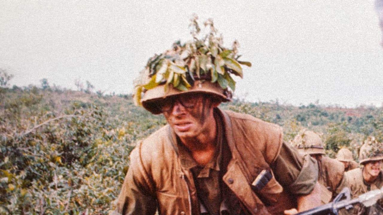 Watch Military Mayhem in Vietnam II
