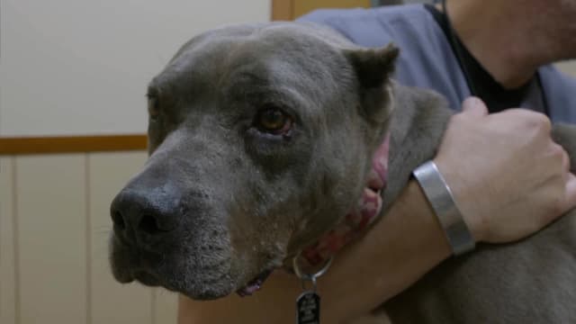 S13:E02 - Golden Girl